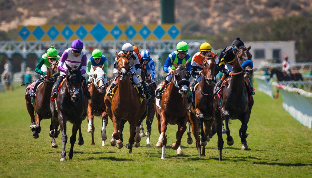 The Del Mar Race Track: Where History and Horse Racing Converge