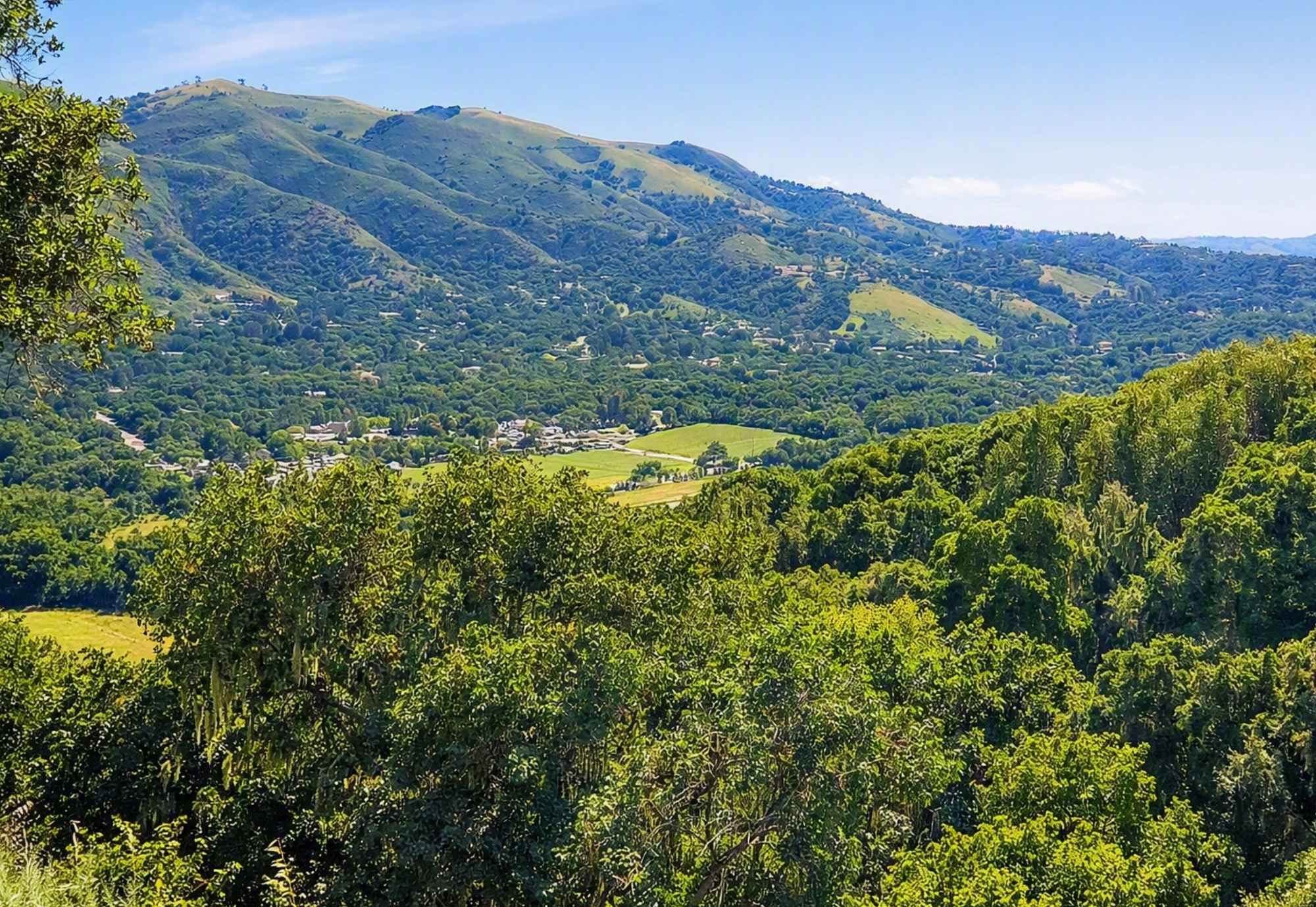 Thing To Do Carmel Valley