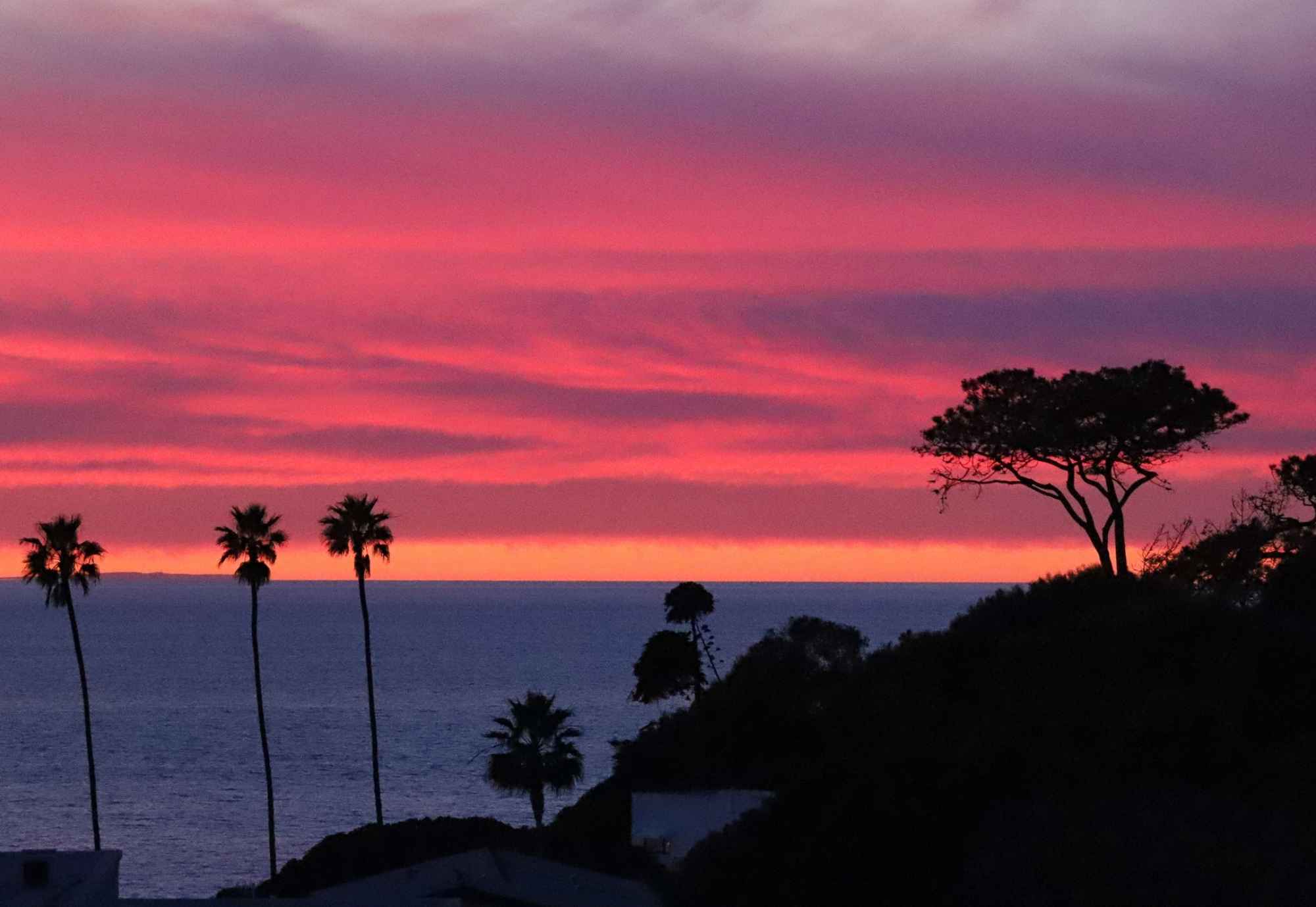 Thing To Do Encinitas